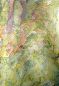 2015-08-08 Siden Hill Woods watercolour conte crayon (3)